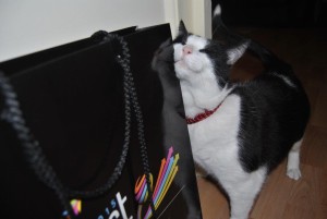 Sid in Dalston can't resist a shopping bag.