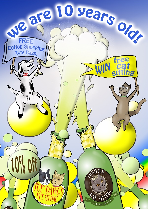 cat party 16
